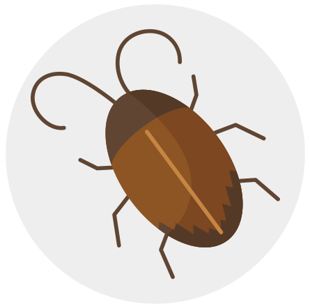 Cockroach control