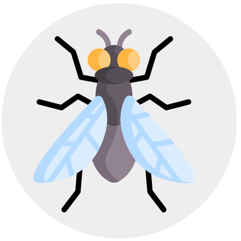 Wood Borer