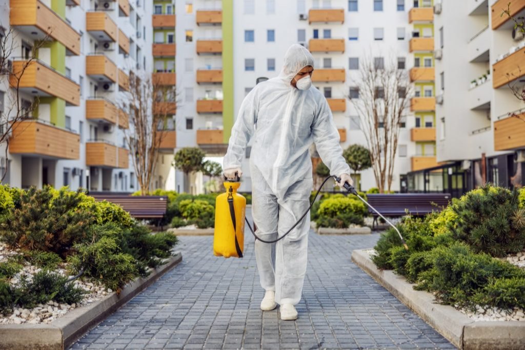 General Pest Contro treatment